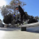 bones bearings
