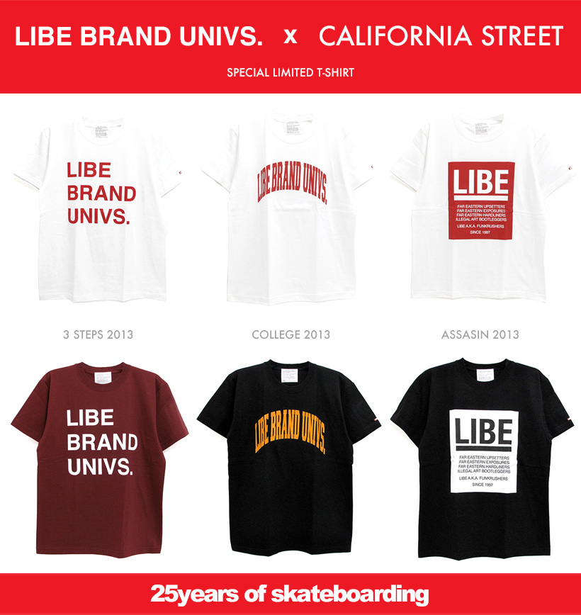 libe_cs_tee_2013