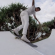 residency_dylan_rieder