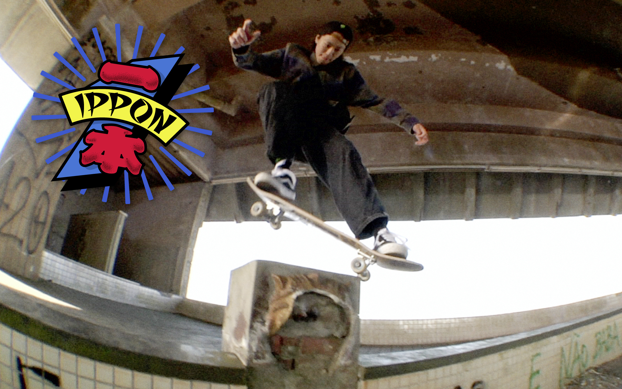 TOA SASAKI / 佐々木音憧