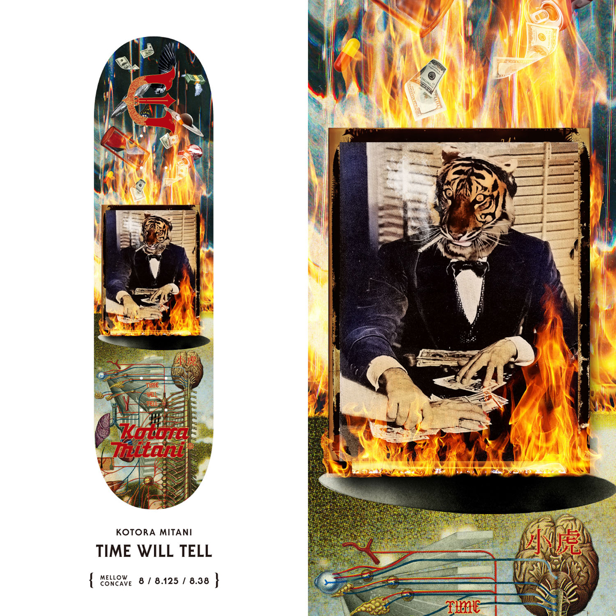 PRODUCTS] EVISEN - SUMMER 2024 | VHSMAG